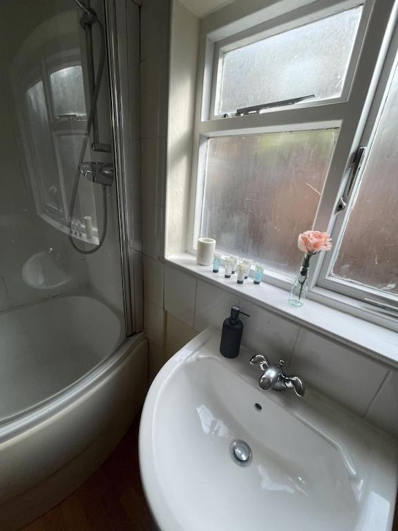 Beautiful Ground Floor Garden Flat Apartman London Kültér fotó